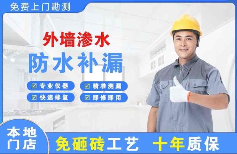 城北外墙渗水维修